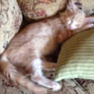 Meet your Posher, Bethany